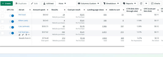 "AI-Powered Facebook Ads Campaign Setup & Management for Maximum Sales"