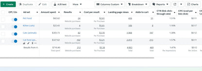 "AI-Powered Facebook Ads Campaign Setup & Management for Maximum Sales"